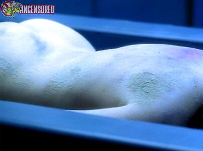 Nicola C. Hindshaw leaked photo #7