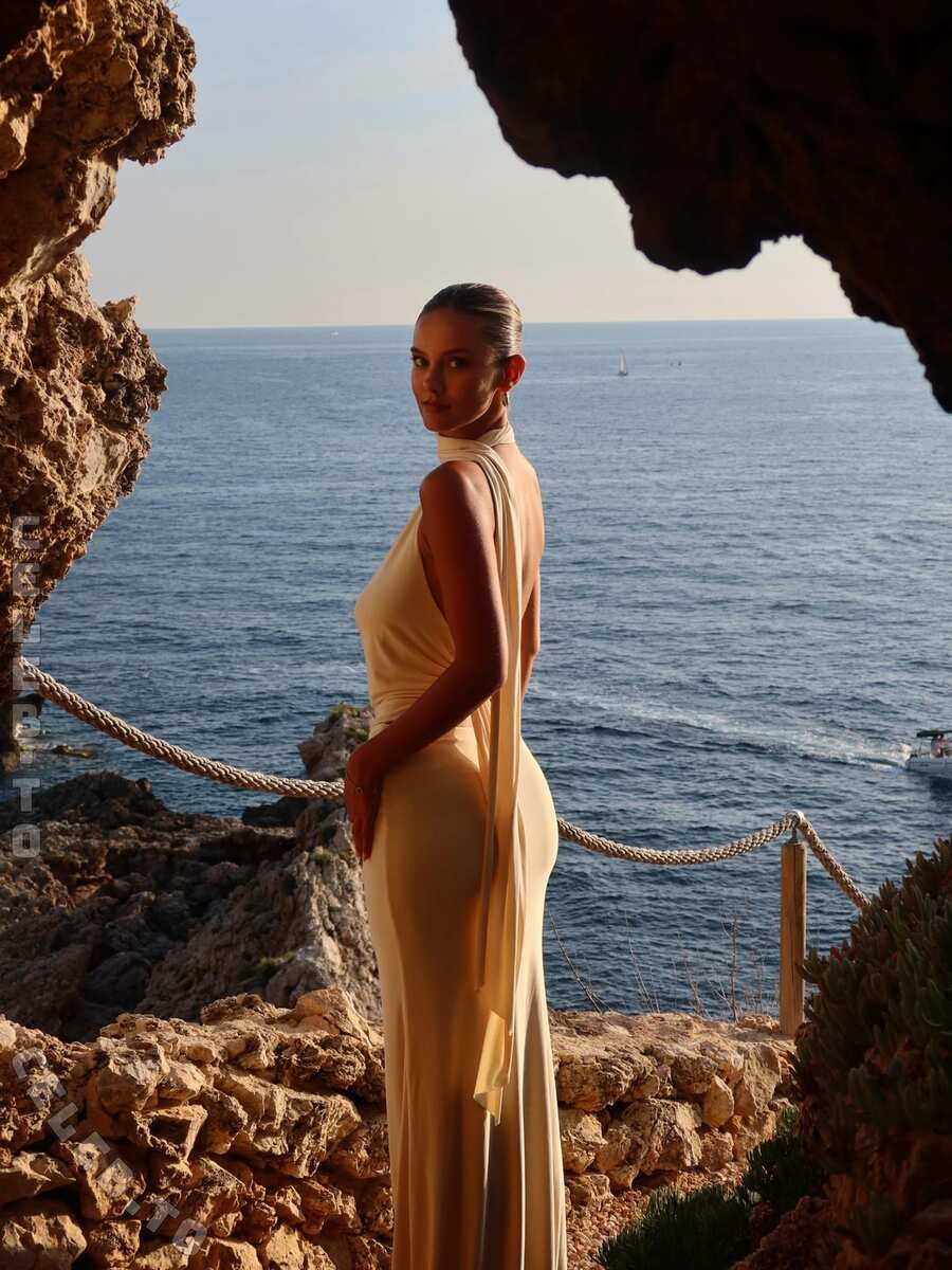 Nicola Cavanis photo