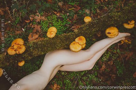 Nicole Vaunt photo