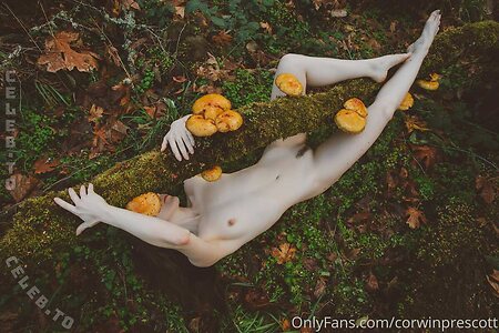 Nicole Vaunt photo