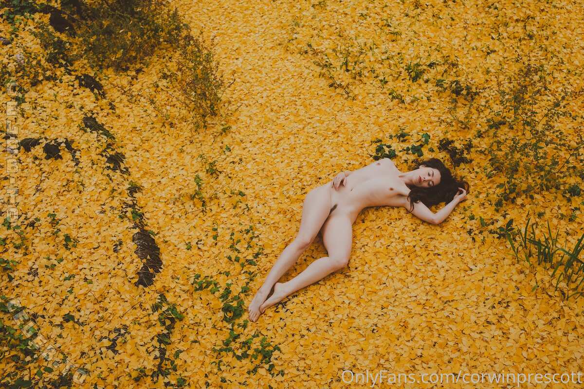 Nicole Vaunt photo