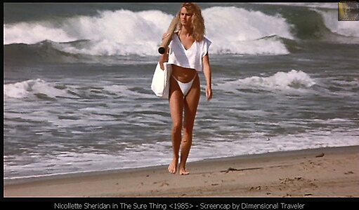 Nicollette Sheridan