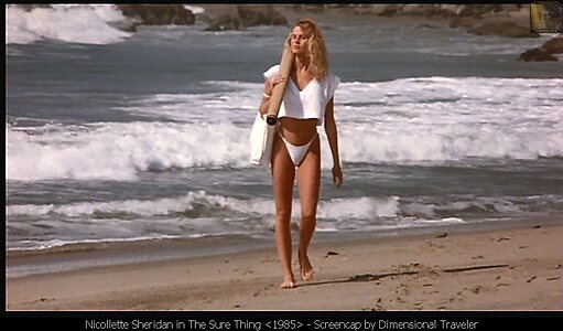 Nicollette Sheridan leaked photo #2