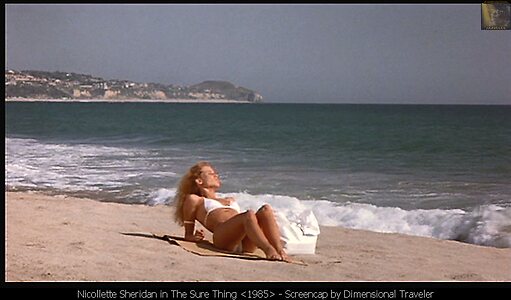 Nicollette Sheridan Nude Leaked Photo #4