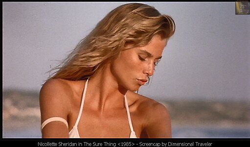 Nicollette Sheridan Nude Leaked Photo #7