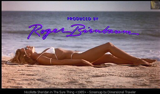 Nicollette Sheridan Nude Leaked Photo #13