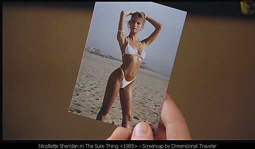 Nicollette Sheridan Nude Leaked Photo #14
