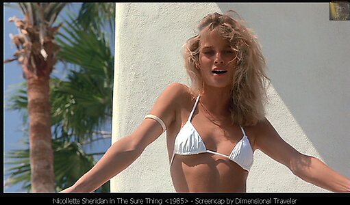 Nicollette Sheridan Nude Leaked Photo #21