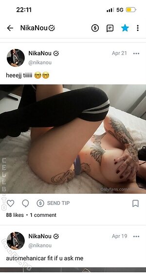 Nika Ilcic