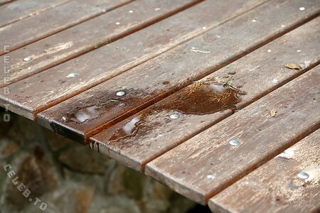 Nika Nikola Nude Leaked Photo #193