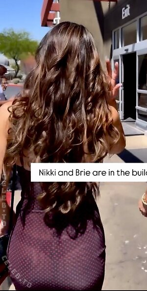 Nikki Bella photo