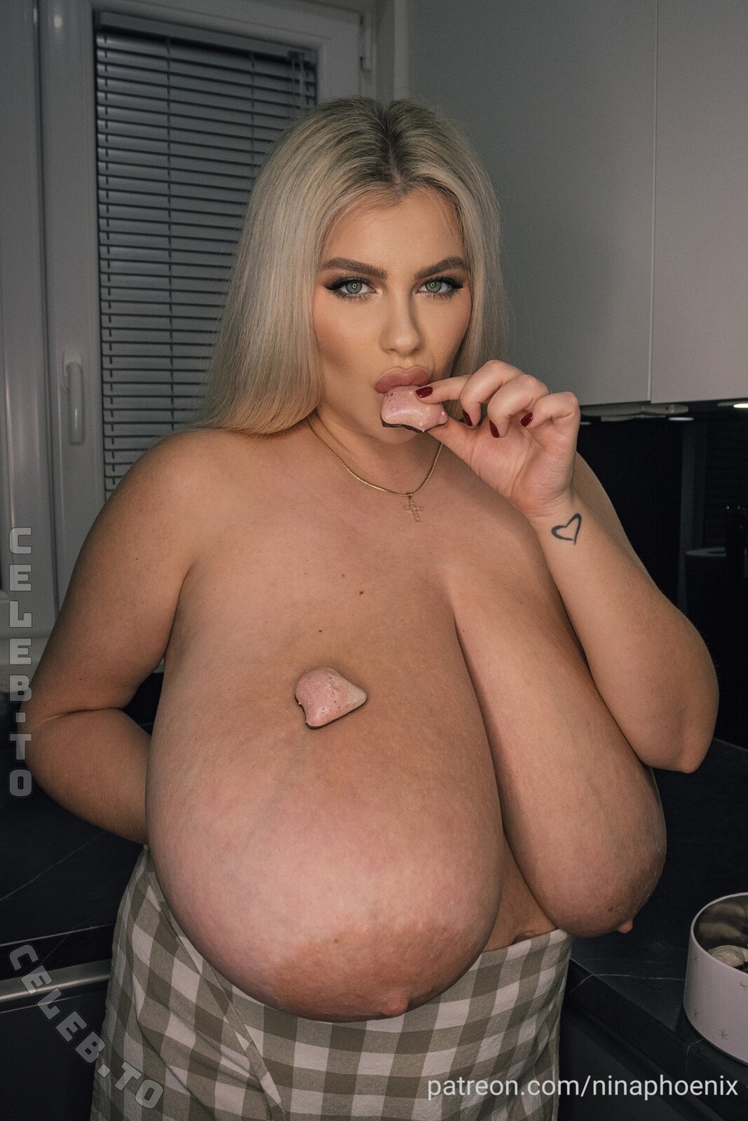 Nina Phoenix photo
