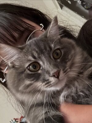 _nineiota leaked photo #36