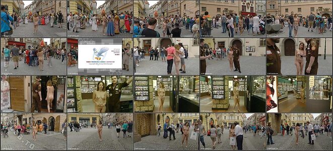 Nude in Public Nude Leaked Photo #528