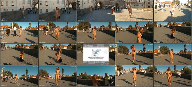 Nude in Public Nude Leaked Photo #631