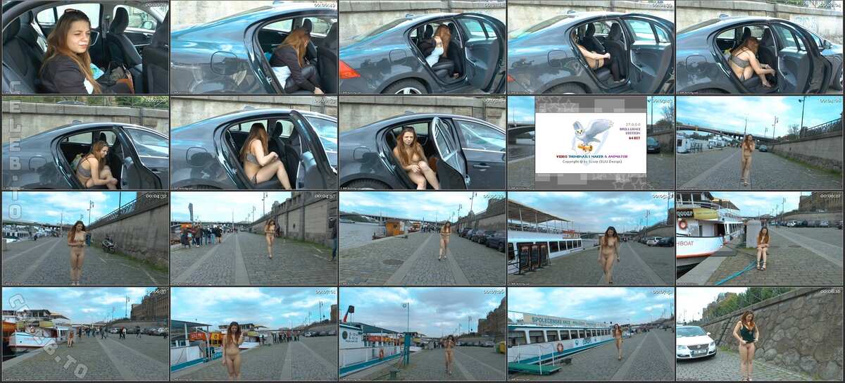 Nude in Public photo