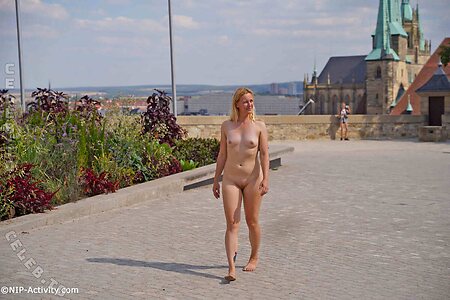 Nude in Public