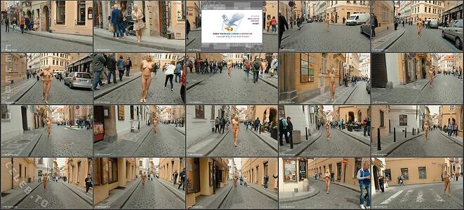 Nude in Public photo