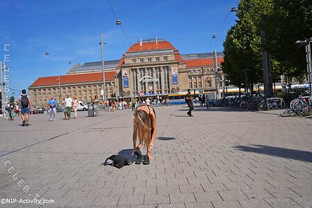 Nude in Public Nude Leaked Photo #2368