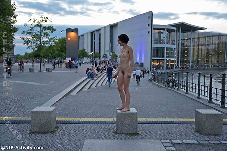 Nude in Public leaked photo #3411
