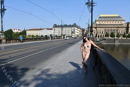 Nude in Public leaked photo #4244