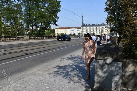 Nude in Public leaked photo #4255