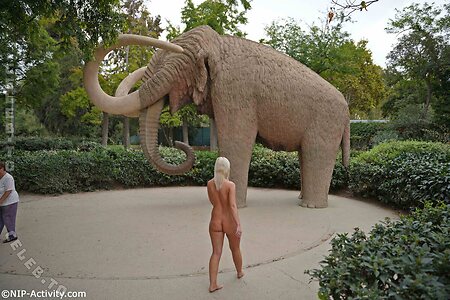 Nude in Public leaked photo #4327