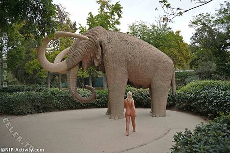 Nude in Public leaked photo #4329