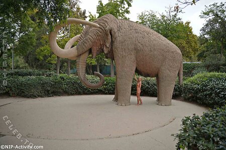 Nude in Public leaked photo #4330