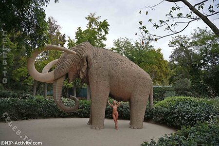 Nude in Public leaked photo #4331