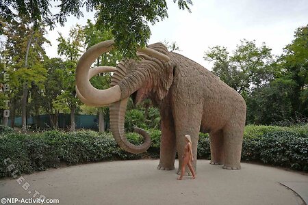 Nude in Public leaked photo #4334