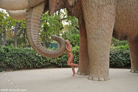 Nude in Public leaked photo #4345