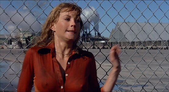Pamela Susan Shoop leaked photo #13