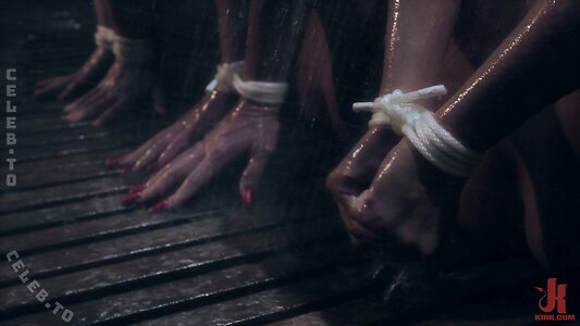 Phoenix Marie Nude Leaked Photo #75