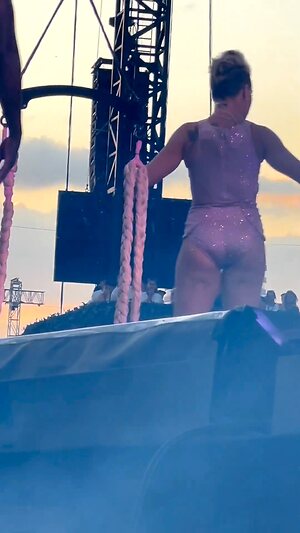 Pink (singer) collection leaked photo #24
