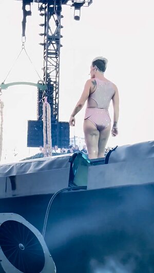 Pink (singer) collection leaked photo #25