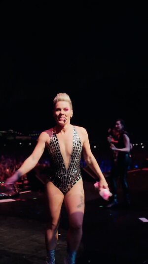 Pink (singer) collection leaked photo #30