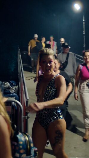 Pink (singer) collection leaked photo #31