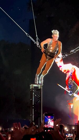 Pink (singer) collection leaked photo #35