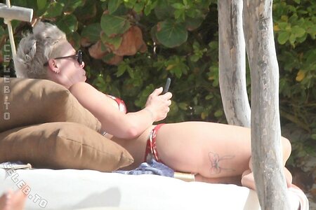 Pink Nude Leaked Photo #74