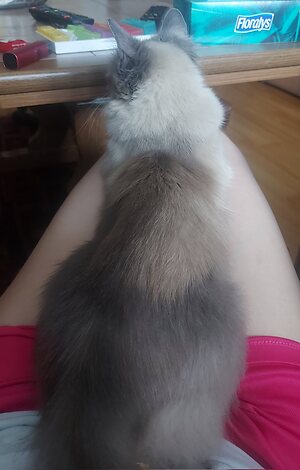 Pipi leaked photo #58