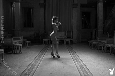 Playboy Plus photo