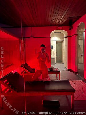 playnogamessaynonames Nude Leaked Photo #2