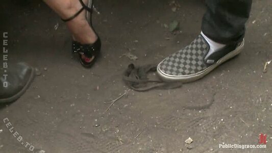 Public Disgrace Nude Leaked Photo #15