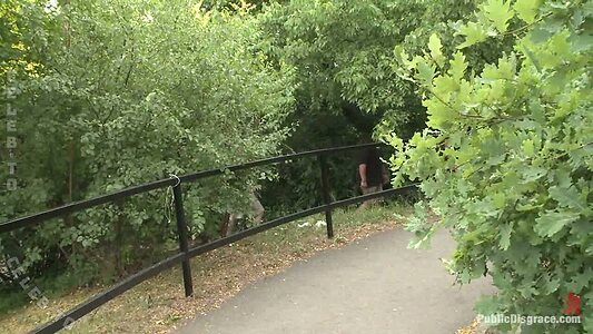 Public Disgrace Nude Leaked Photo #19