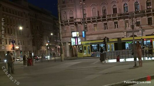 Public Disgrace Nude Leaked Photo #54