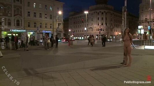 Public Disgrace Nude Leaked Photo #55