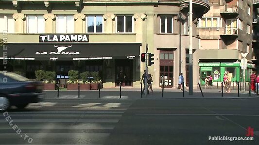 Public Disgrace Nude Leaked Photo #62