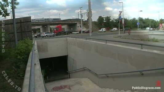 Public Disgrace Nude Leaked Photo #74