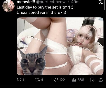 purrfectmeowiee